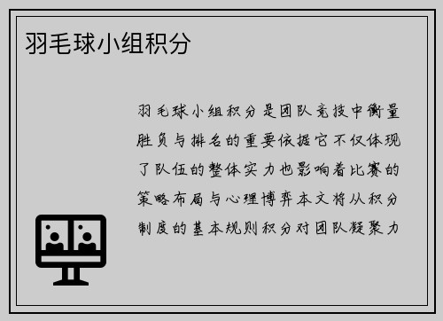 羽毛球小组积分