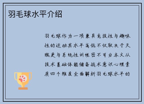 羽毛球水平介绍